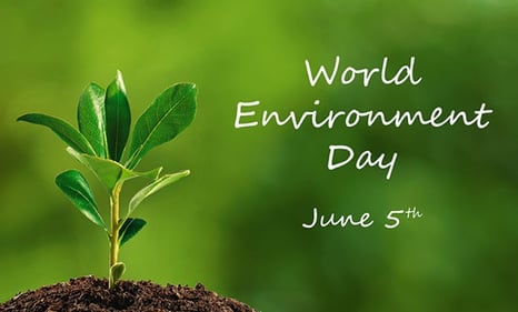 World-Environment-Day.jpg