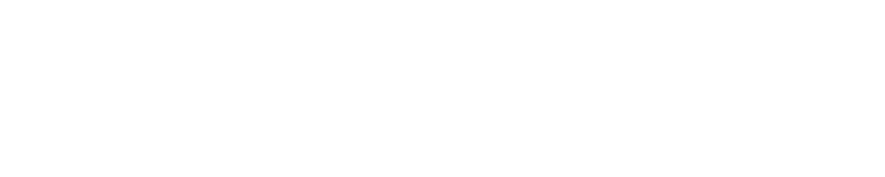 Best_Western_logo_white